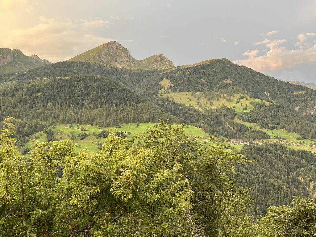 Hormonberatung Graubünden Ablauf